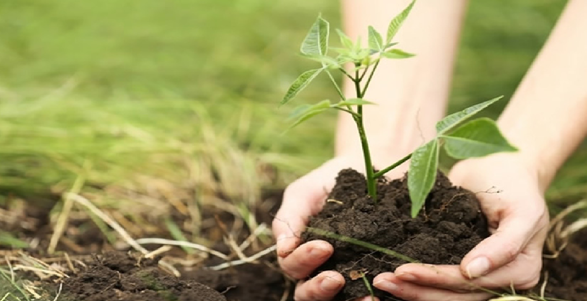 प्रकृति संरक्षण एवं वृक्षारोपण अभियान